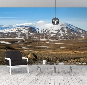 Picture of Tundra landscape in iceland